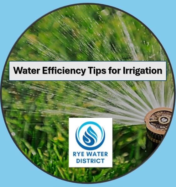 Water Efficiency Tips for Irrigation